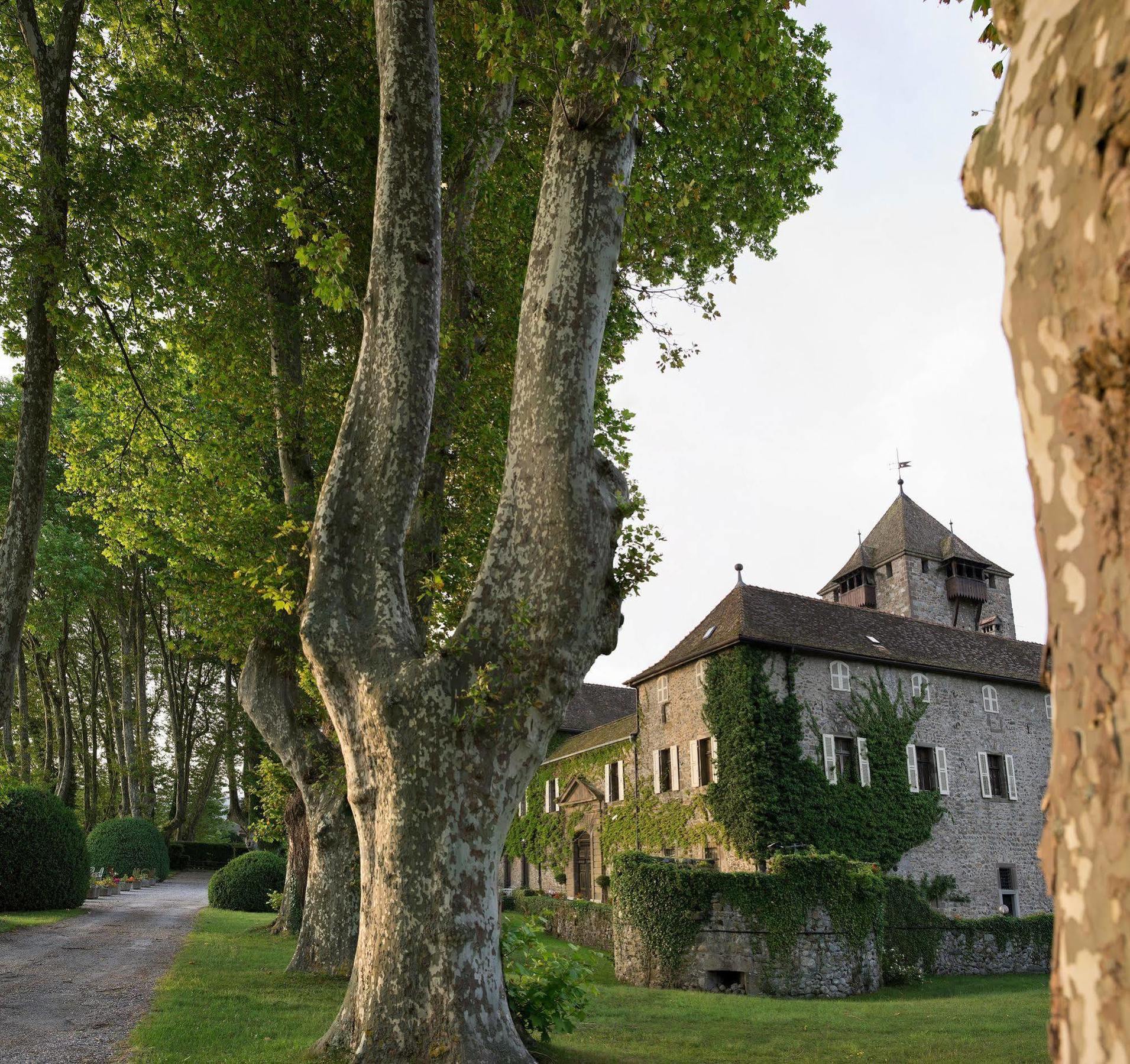 Château De Coudrée - Les Collectionneurs Sciez Exterior foto